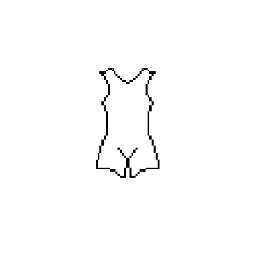 Nikolai Rodriguez outline 1